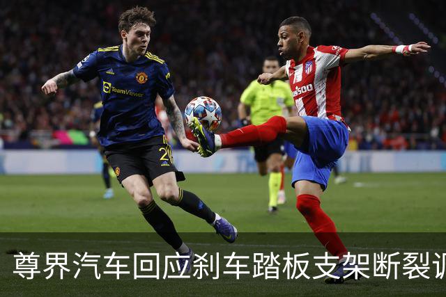 尊界汽车回应刹车踏板支架断裂调查：全力配合调查组