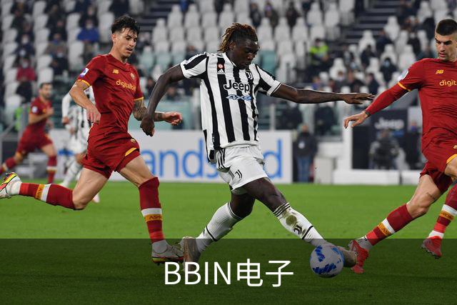 BBIN电子公司简介图片